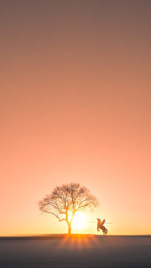 贝恩之夜,唯一的主角与无可争议的胜利