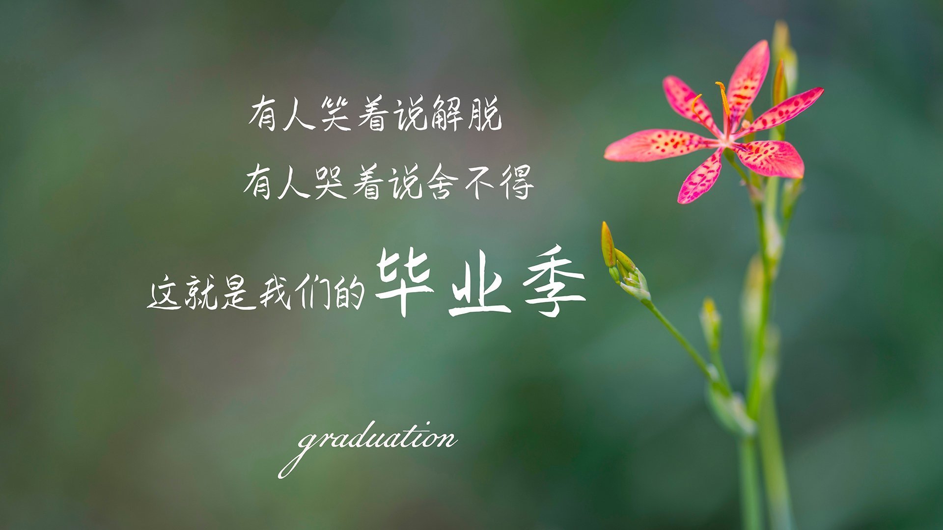 篮球与铁骑的史诗对决,西决生死战中的文化回响