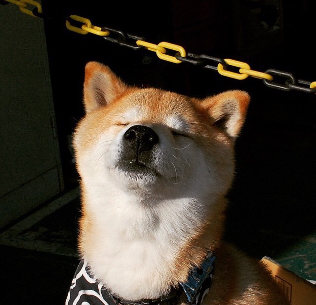 唯一性的见证，鹈鹕稳拿马刺，塔图姆总决赛接管比赛