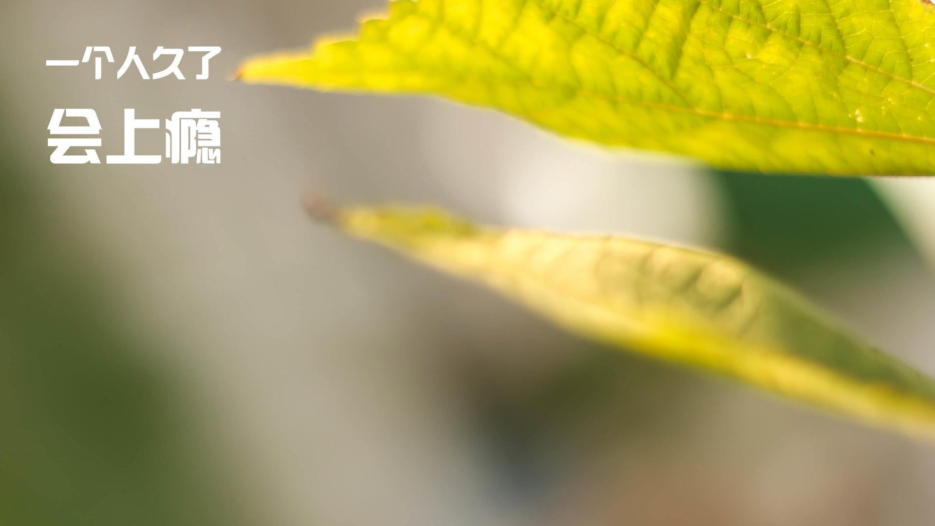 地球两端的两记绝杀，德国终结日本，卢卡库替补定乾坤