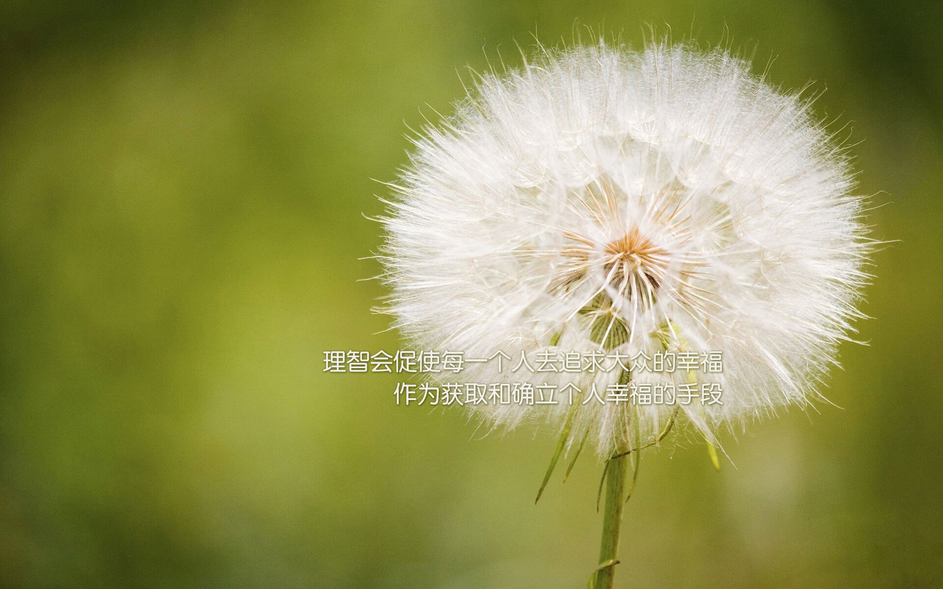 胜负之外，当NBA战术博弈遇上欧洲杯铁血意志—体育的宏大叙事